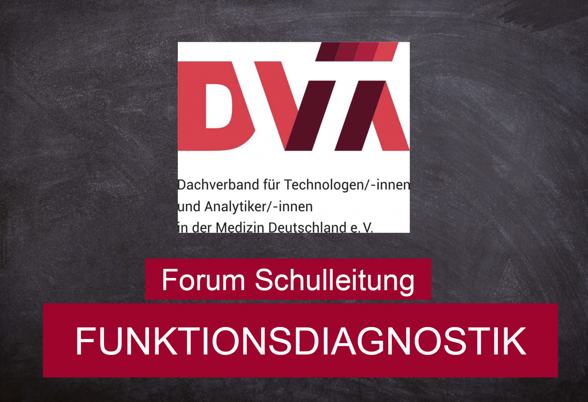 Forum Schulleitung Funktionsdiagnostik.png